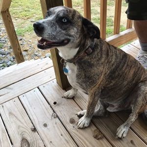 Meet your Posher, Sam